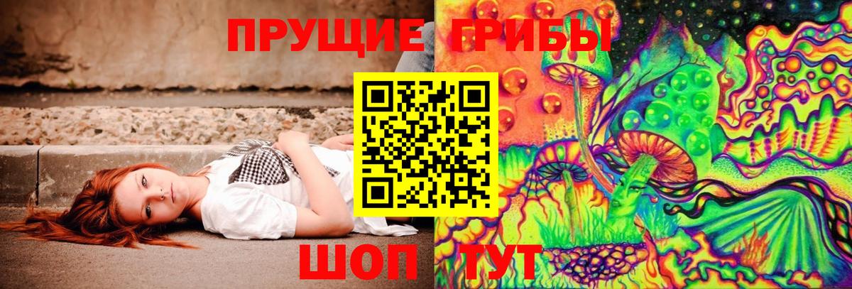 Псилоцибиновые грибы мицелий Гагарин